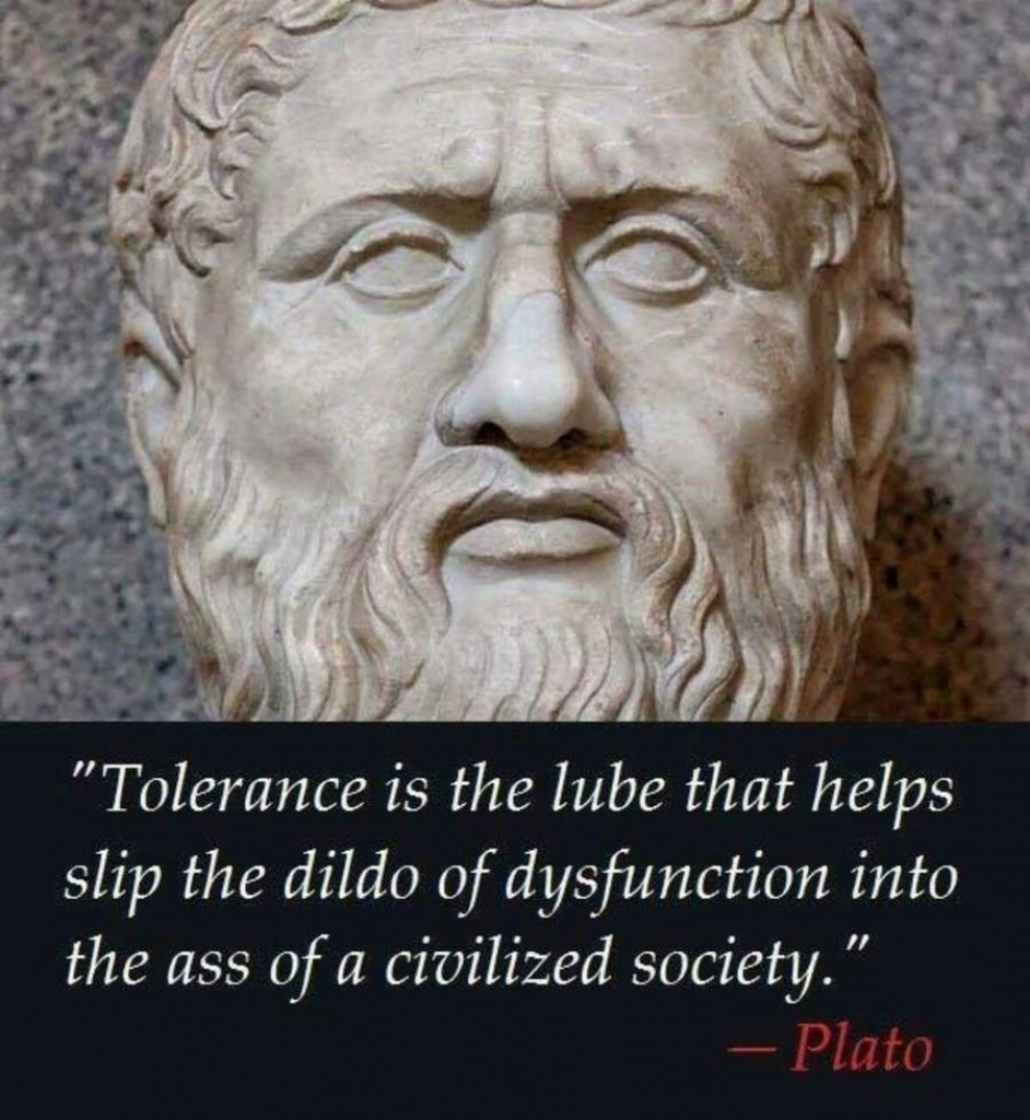 memes -  tolerance is the lube - "Tolerance is the lube that helps slip the dildo of dysfunction into the ass of a civilized society." Plato