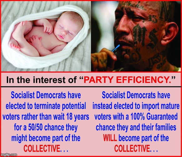 memes -  photo caption - In the interest of Party Efficiency." Socialist Democrats have Socialist Democrats have elected to terminate potential instead elected to import mature voters rather than wait 18 years voters with a 100% Guaranteed for a 5050 chan