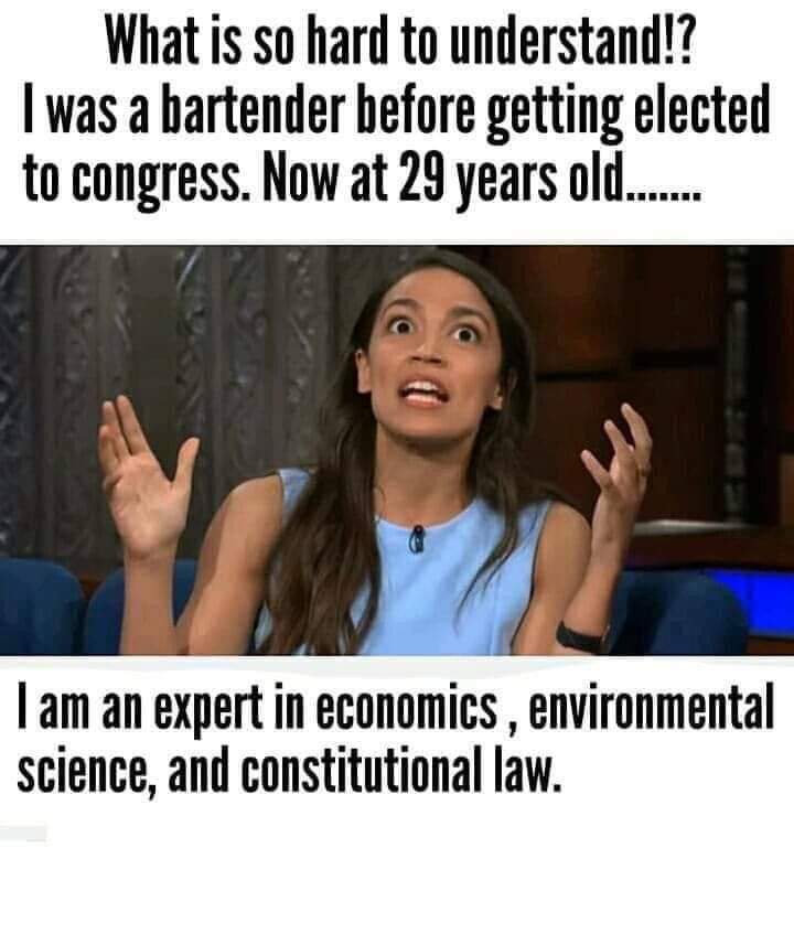 memes -  aoc memes - What is so hard to understand!? I was a bartender before getting elected to congress. Now at 29 years old. .. I am an expert in economics , environmental science, and constitutional law.