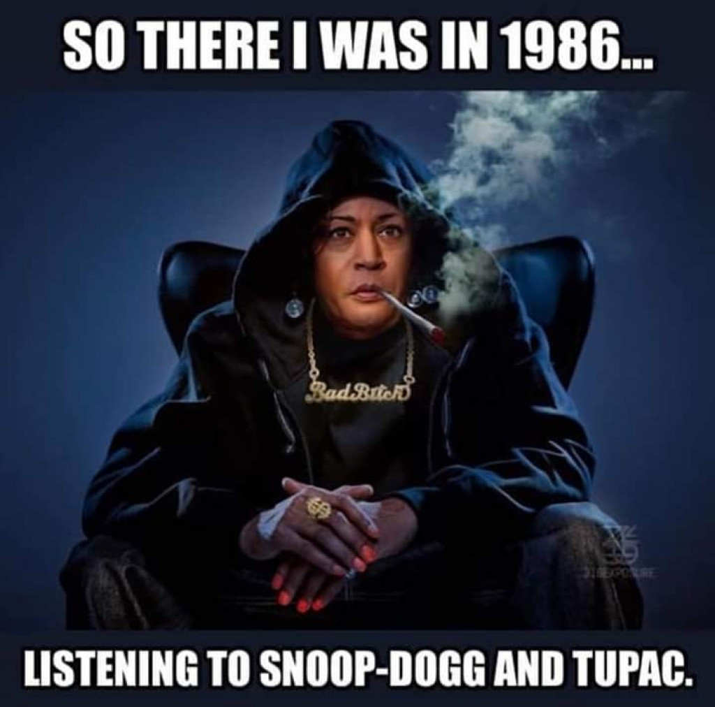 memes -  kamala harris smoked weed memes - So There I Was In 1986... dBitco Listening To SnoopDogg And Tupac.