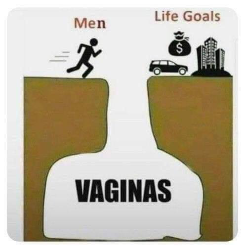 memes -  men goals meme - Life Goals Men Vaginas