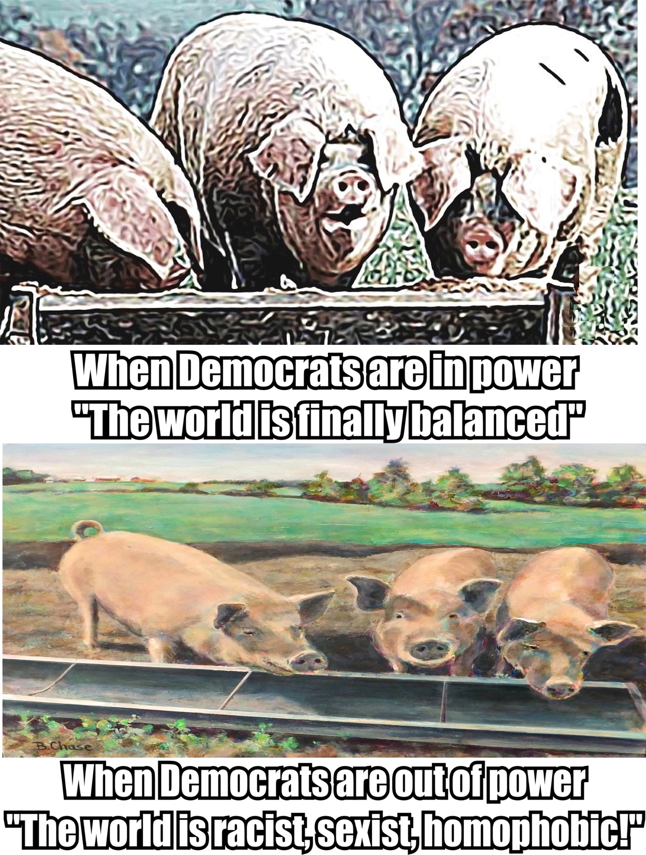 memes -  domestic pig - ASW33 When Democrats are in power The world is finally balanced When Democrats are out of power The world is racist, sexist homophobic!