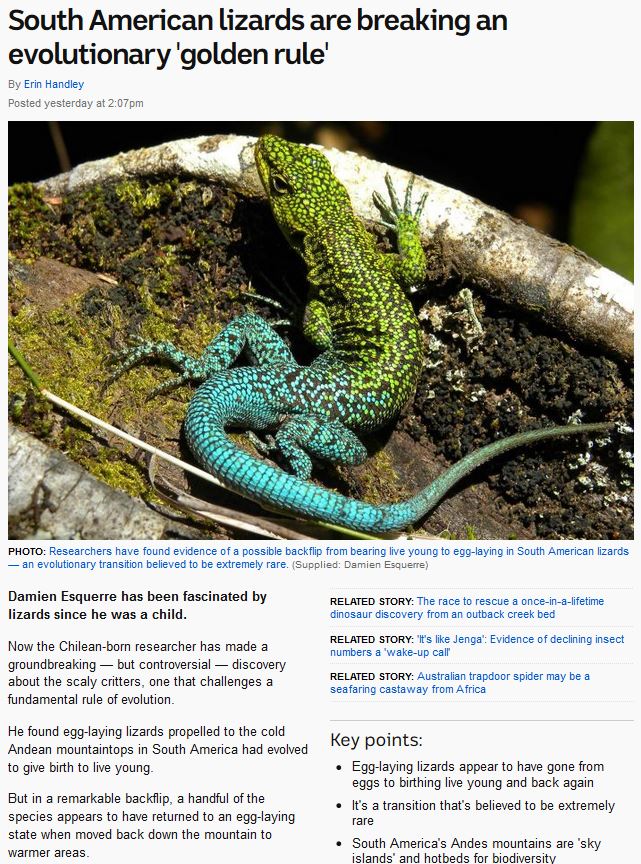 memes -  lizard egg - South American lizards are breaking an evolutionary 'golden rule' By Erin Handley Posted yesterday at Photo Researchers have found evidence of a possible backflip from bearing live young to egglaying in South American lizards an evol