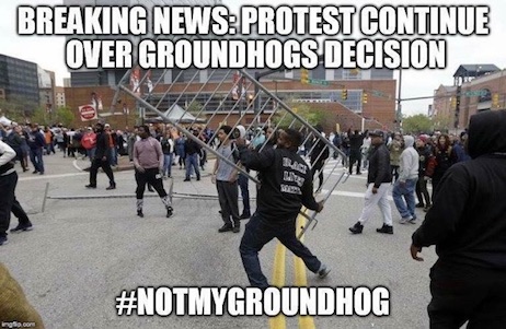 not my groundhog meme - Breaking NewsProtest Continue Over Groundhogs Decision Le Zoran