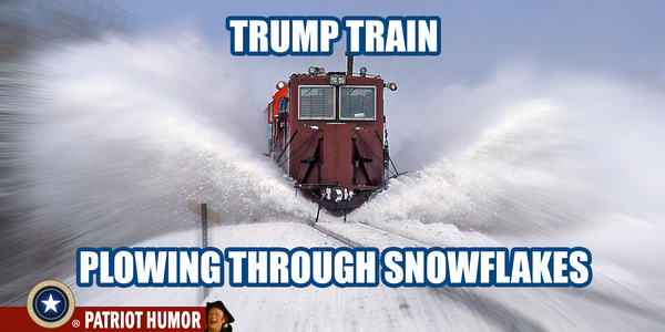 trump train snowflakes - Trump Train be Plowing Through Snowflakes Patriot Humor