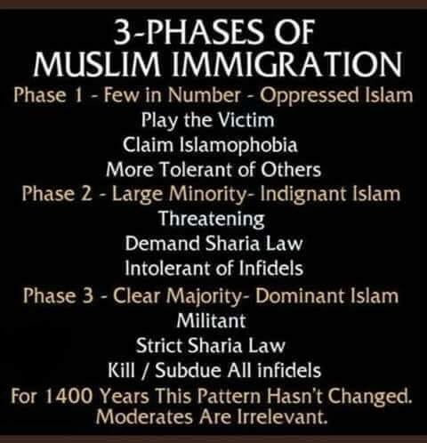 document - 3Phases Of Muslim Immigration Phase 1 Few in Number Oppressed Islam Play the Victim Claim Islamophobia More Tolerant of Others Phase 2 Large MinorityIndignant Islam Threatening Demand Sharia Law Intolerant of Infidels Phase 3 Clear Majority Dom