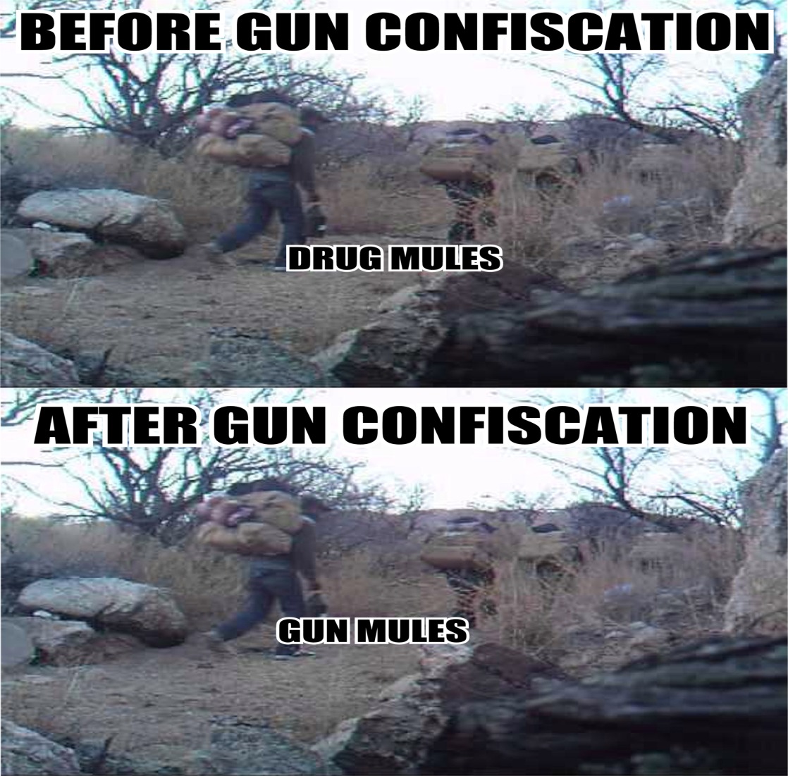 animal - Before Gun Confiscation Drug Mules After Gun Confiscation After Gun Mules