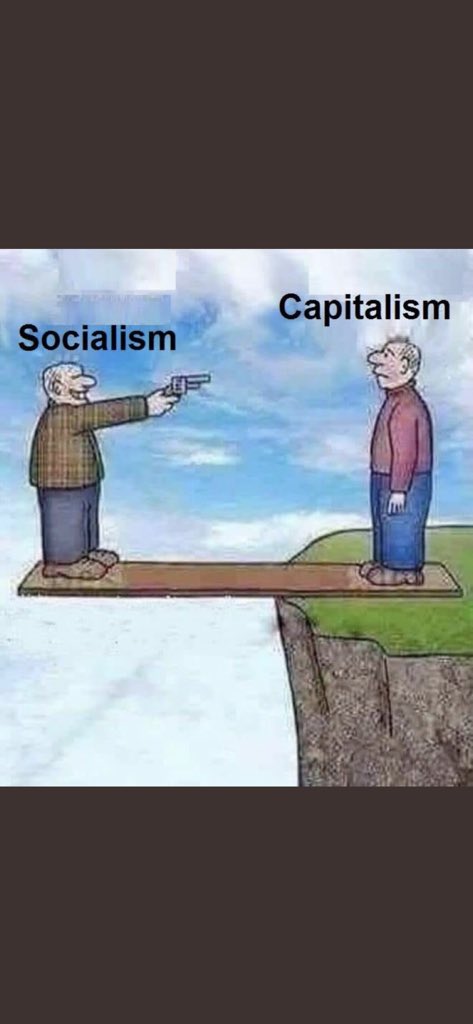 socialism vs capitalism meme - Capitalism Socialism