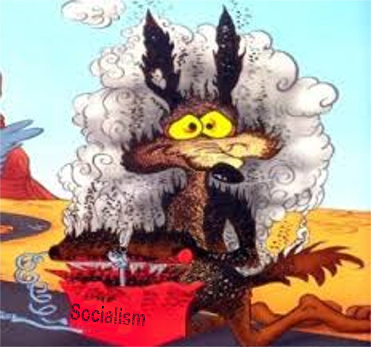 wile e coyote tnt - 3 Socialism
