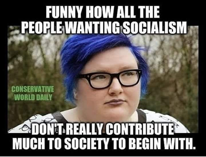 conservative humor meme - Funny How All The People Wanting Socialism Conservative World Daily Adonit Really Contribute Much To Society To Begin With.
