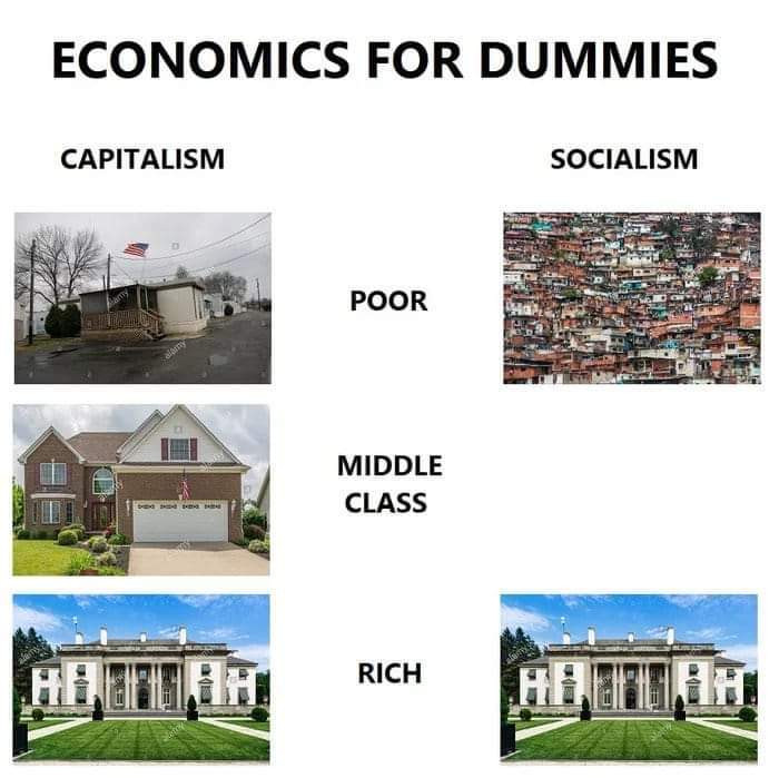 economics for dummies meme - Economics For Dummies Capitalism Socialism Poor Middle Class Rich