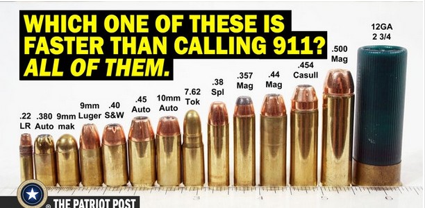 handgun bullets size chart - 12GA 2 34 Which One Of These Is Faster Than Calling 911?.500 All Of Them. Mag .454 Casull .38 .357 44 Mag Mag Spl 7.62 45 10mm Tok Auto Auto 9mm .40 .22 .380 9mm Luger S&W Lr Auto mak The Patriot Post