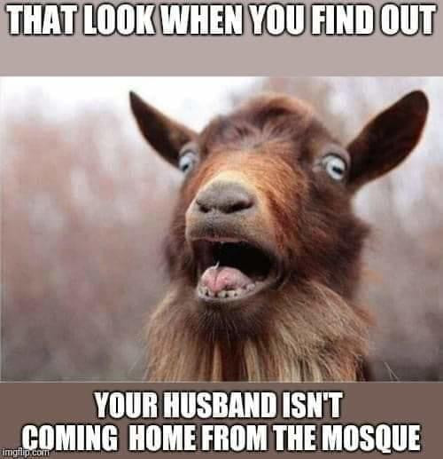 funny eid ul adha memes - That Look When You Find Out Your Husband Isn'T Coming Home From The Mosque imgflip.com