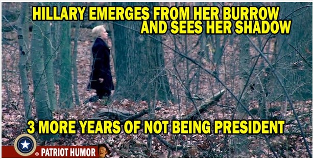 tree - Hillary Emerges From Her Burrow And Sees Her Shadow 23More Years Of Not Being Presidents Patriot Humor