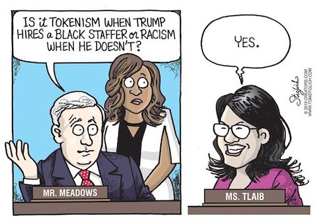 townhall cartoons - Is it Tokenism When Trump Hires Black Staffer Ol Racism When He Doesn'T? Stiglich Mr. Meadows Ms. Tlaib