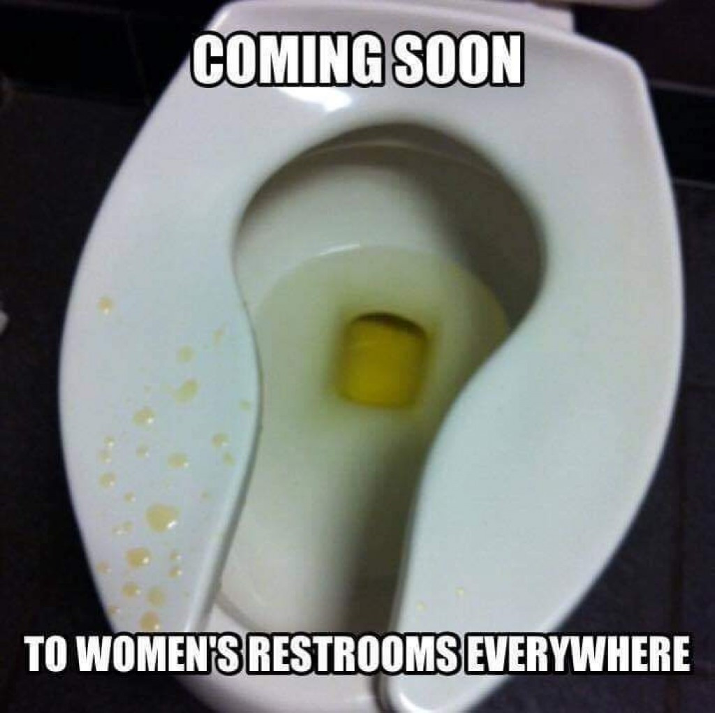 checkmate toilet meme - Coming Soon To Women'S Restrooms Everywhere
