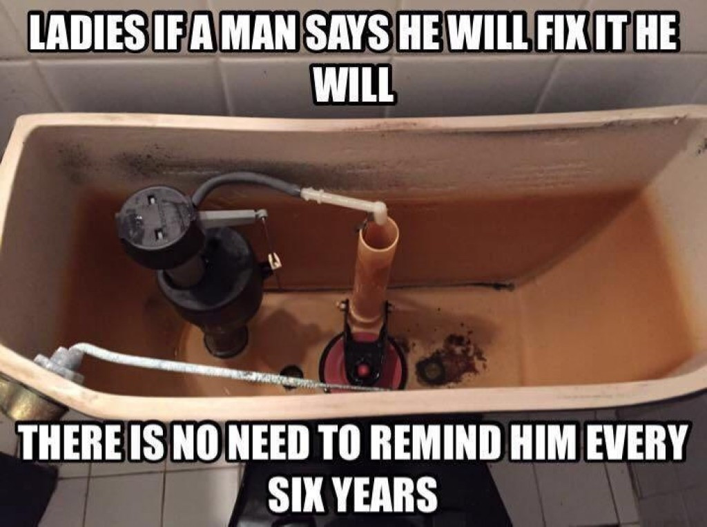 toilet - Ladies If A Man Says He Will Fix It He Will There Is No Need To Remind Him Every Six Years