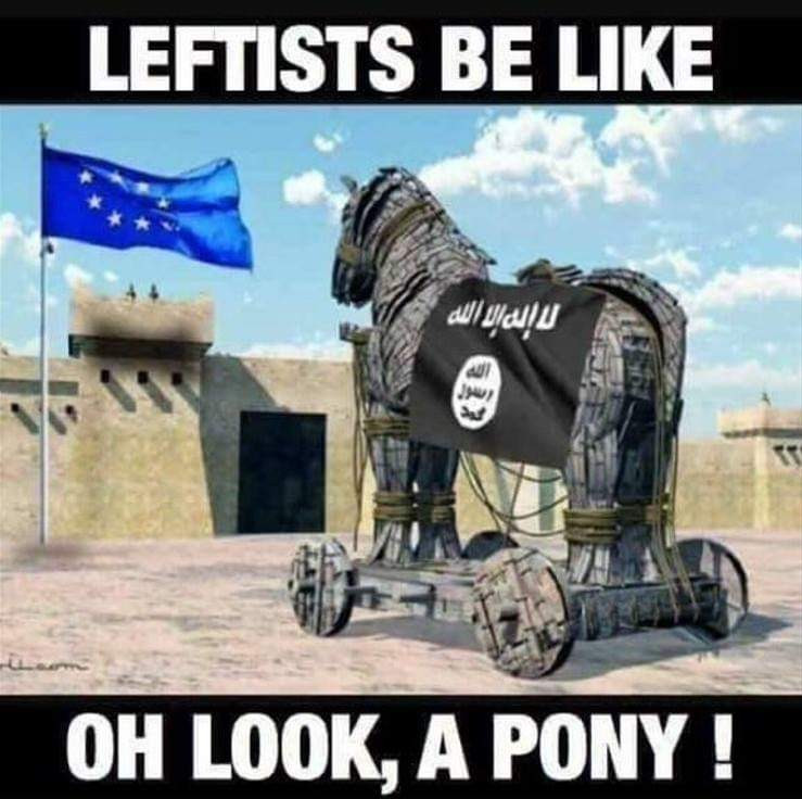 Conservative memes - Leftists Be Oh Look, A Pony!