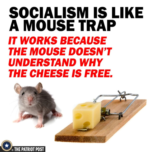 Conservative memes - mouse - Socialism Is A Mouse Trap It Works Because The Mouse Doesn'T Understand Why The Cheese Is Free. The Patriot Post