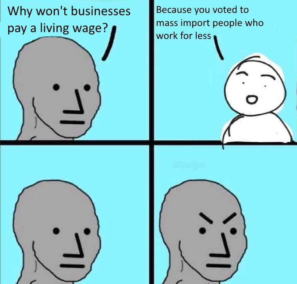 npc meme political - Why won't businesses pay a living wage? Because you voted to mass import people who work for less