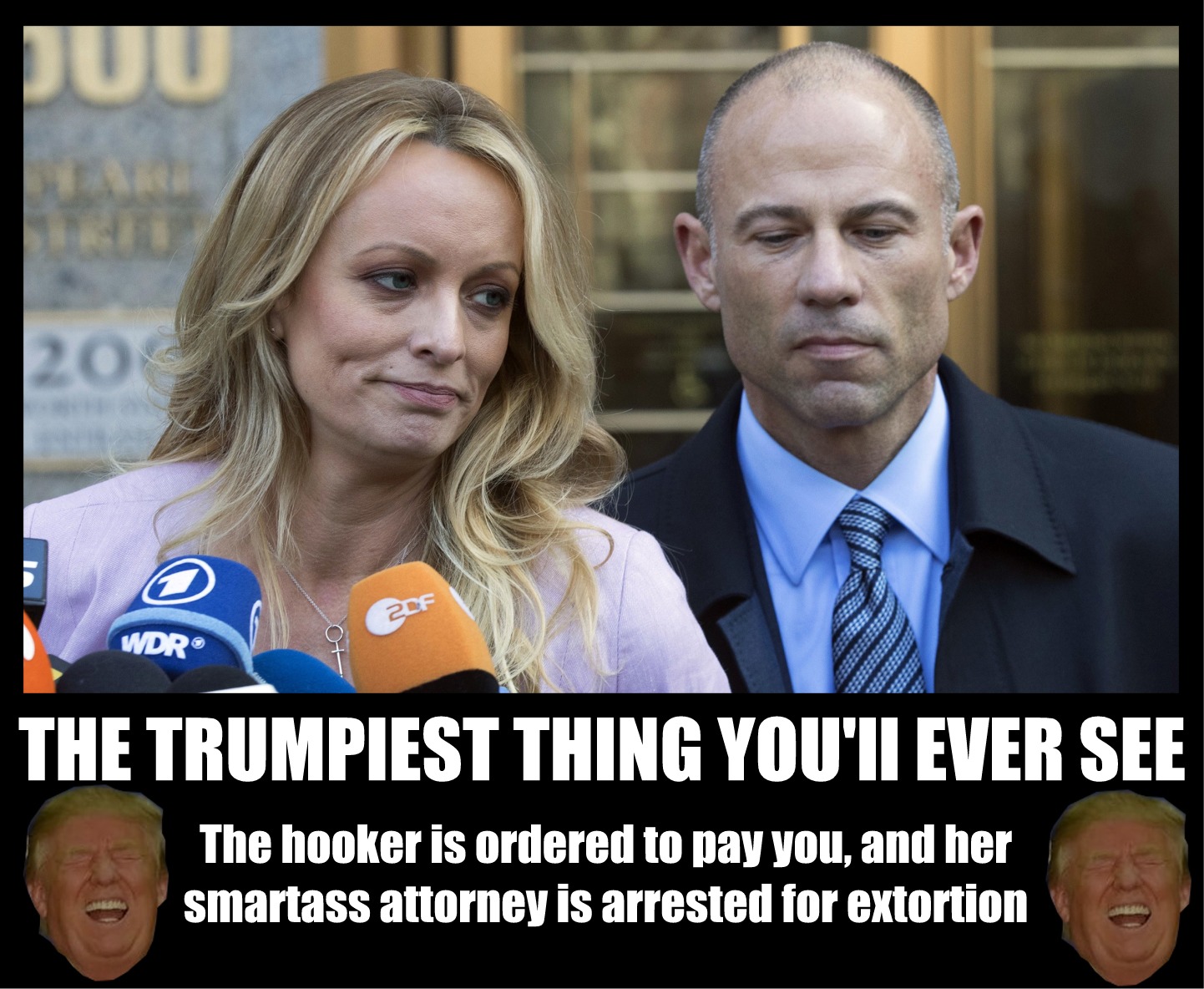stormy daniels - 20F Wdr The Trumpiest Thing You'Ii Ever See The hooker is ordered to pay you, and her smartass attorney is arrested for extortion
