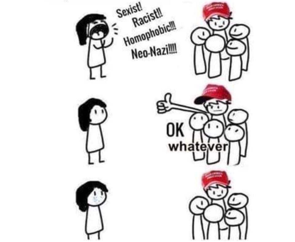 nazi ok meme - Sexist! Racist! Homophobicl! NeoNazil Ok whatever