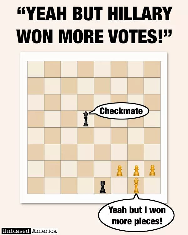board game - "Yeah But Hillary Won More Votes!" Checkmate Yeah but I won more pieces! Unbiased America
