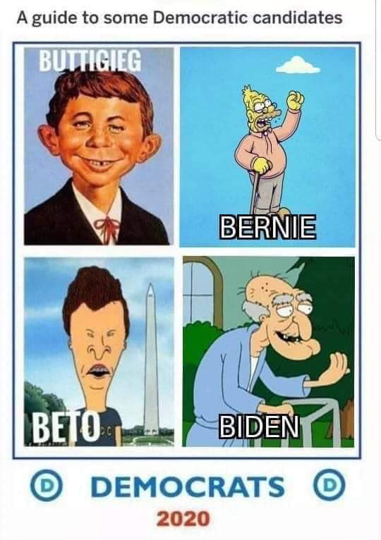 cartoon - A guide to some Democratic candidates Buttigieg Bernie Beto Biden | O Democrats 2020