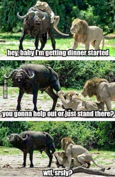 hey baby i m getting dinner started - hey, baby t'm getting dinner started Via 9GAG.Com you gonna help out or just stand there? wtf. srsly?