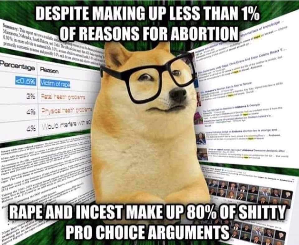 photo caption - Despite Making Up Less Than 1% Of Reasons For Abortion Vis S sin Ada som Percentage Reason 40 55 Rss 29. see on 28 Woona w wed Pe Rape And Incest Make Up 80% Of Shitty Pro Choice Arguments Thard w Nh