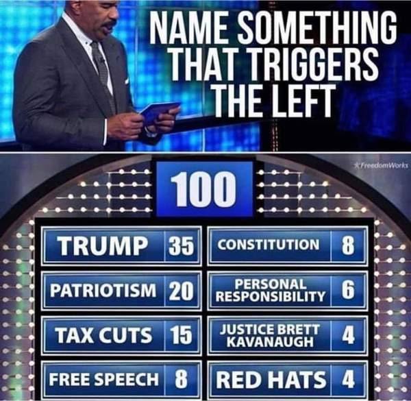 name something that triggers the left - Name Something That Triggers The Left Esse FreedomWorks 100 Constitution Trump 35 Patriotism 20 Personal Responsibility Ooo Ay Tax Cuts 15 Justice Brett Kavanaugh 4 Free Speech 8 Red Hats 4