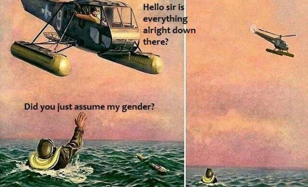 did you just assume my gender plane - Hello sir is everything alright down there? Did you just assume my gender?
