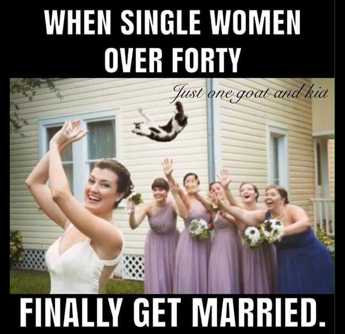 funny cat lady meme - When Single Women Over Forty Just one goat and kid Finally Get Married.