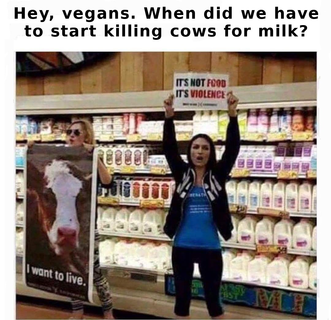 milk kills cows - Hey, vegans. When did we have to start killing cows for milk? Its Not Food It'S Violence Bbb I want to live.