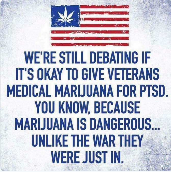 va marijuana meme - We'Re Still Debating If It'S Okay To Give Veterans Medical Marijuana For Ptsd. You Know, Because Marijuana Is Dangerous... Un The War They Were Just In.