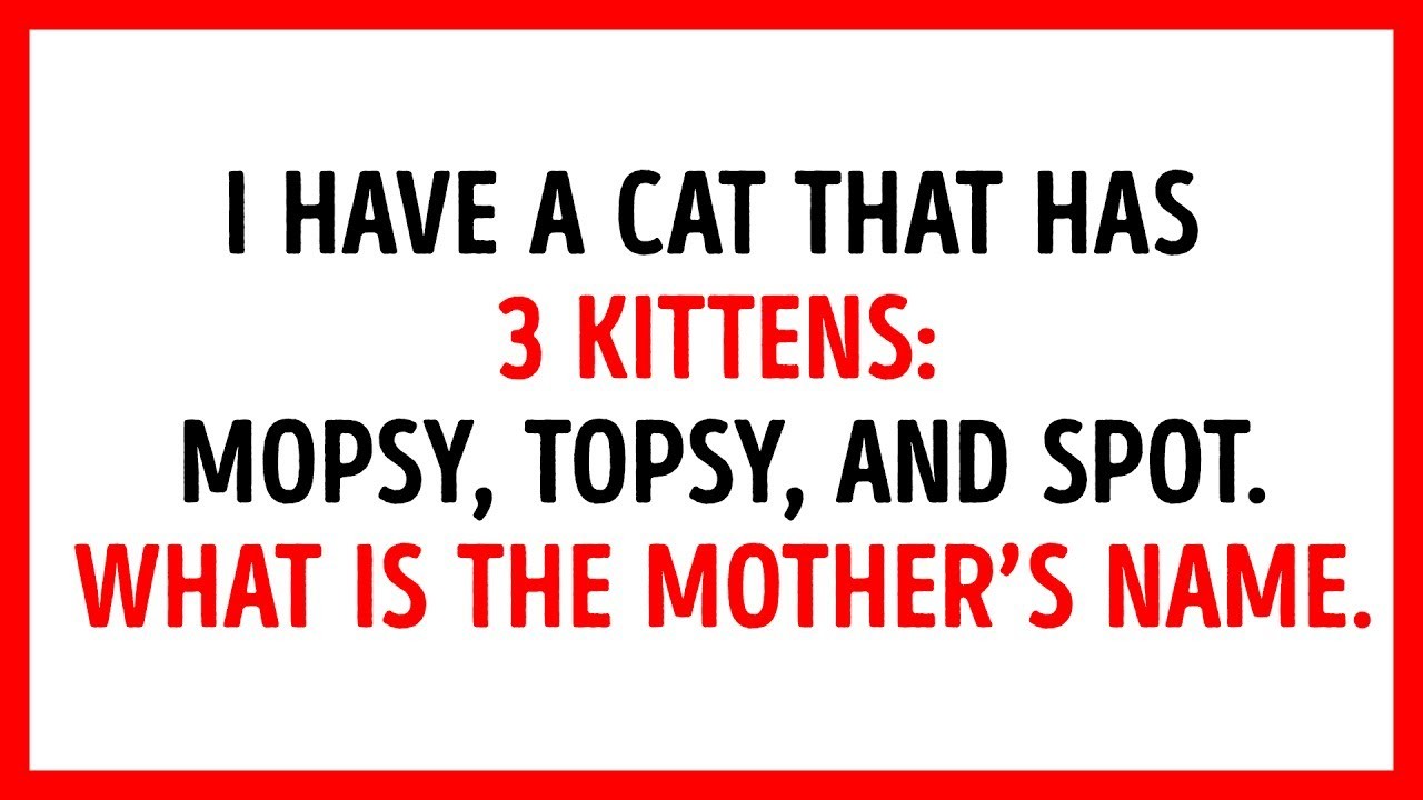 intelligent riddles - I Have A Cat That Has 3 Kittens Mopsy, Topsy, And Spot. What Is The Mother'S Name.
