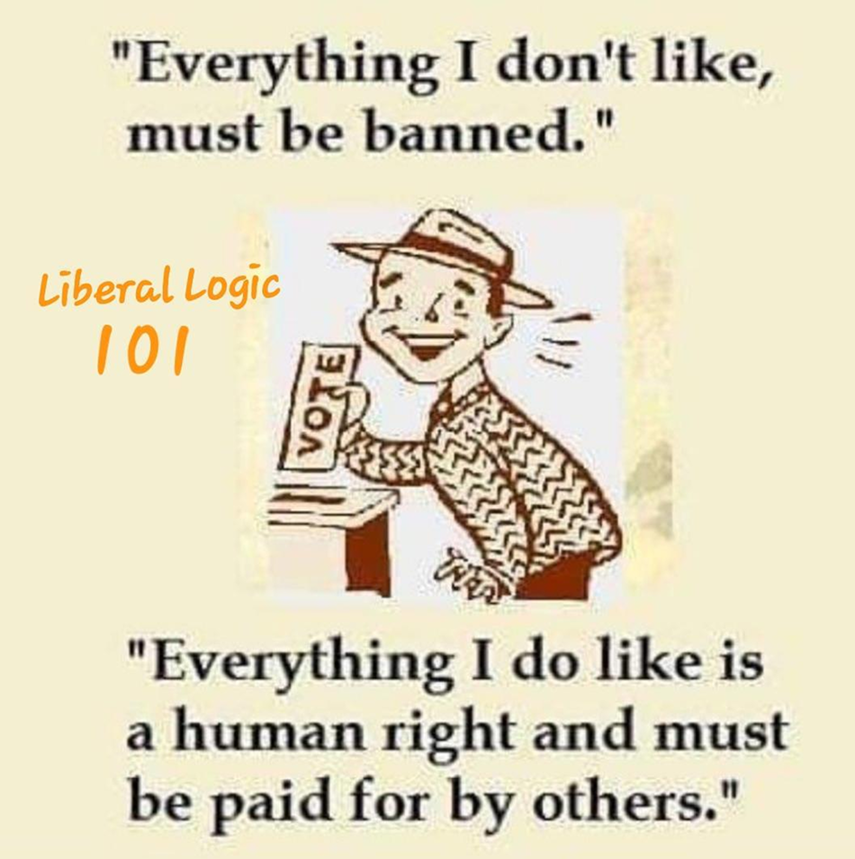people voting - "Everything I don't , must be banned." Liberal Logic 101 "Everything I do is a human right and must be paid for by others."