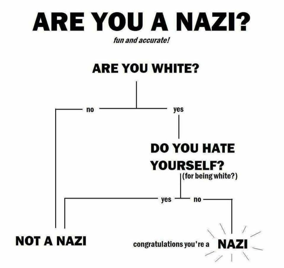 diagram - Are You A Nazi? fun and accurate! Are You White? no yes Do You Hate Yourself? |for being white? yes no Not A Nazi congratulations you're a