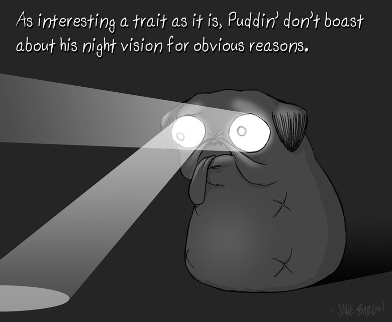 Puddin' Don't ... Set 3