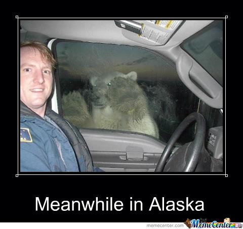 Meanwhile in ALASKA