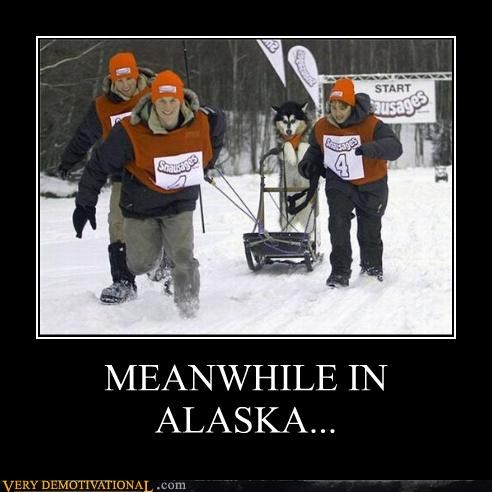 Meanwhile in ALASKA