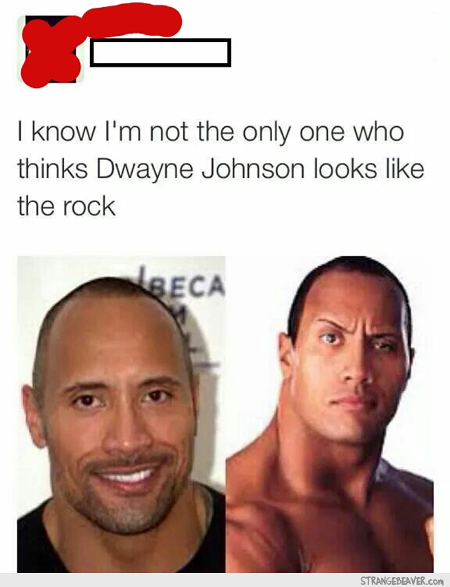 dwayne johnson looks like the rock - I know I'm not the only one who thinks Dwayne Johnson looks the rock Strangebeaver.com