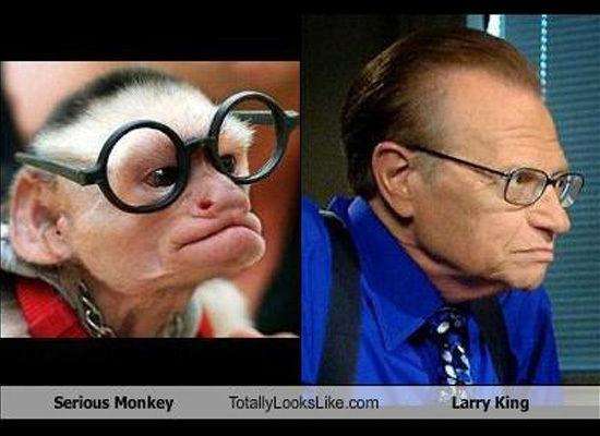 dorky kids - Serious Monkey TotallyLooks .com Larry King