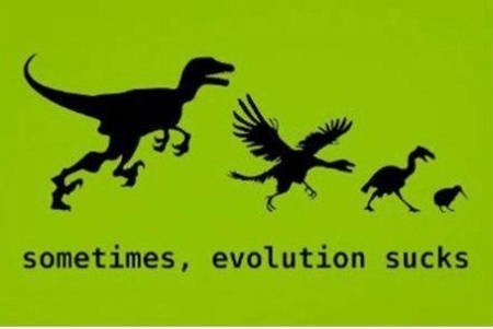 Evolution? 2