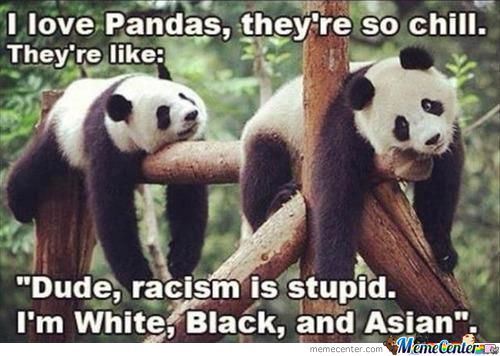 Racism? Aint nobody got time fo dat!