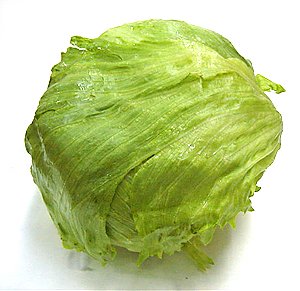 Bag too dry? Put a bit of lettuce in there and close it up for a few hours, it will remoisten it for you without soaking THC.