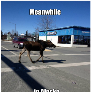 Meanwhile in Alaska