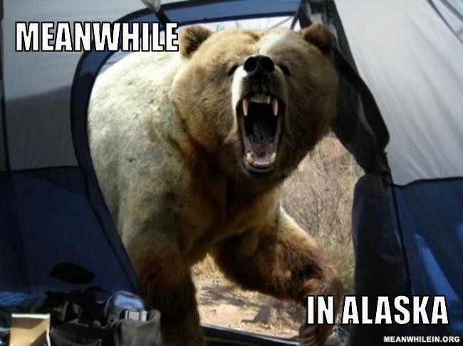 Meanwhile in Alaska