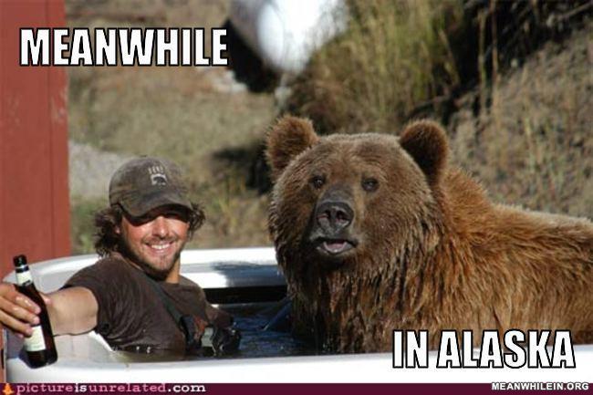 Meanwhile in Alaska