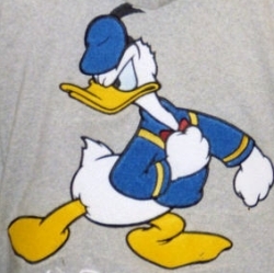Donald Duck comics were banned from Finland because he doesn't wear pants! Also Donald Duck's middle name is Fauntleroy